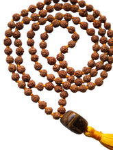 Cargar imagen en el visor de la galería, Naraya mala
